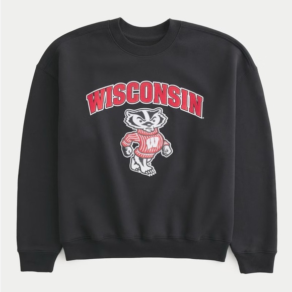 NWT Hollister Boxy University of Wisconsin Graphic Crew Sweatshirt Size XL - Picture 2 of 10
